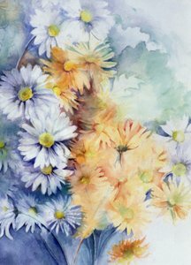 Chrysantheme, weiß und apricot von Karen Armitage