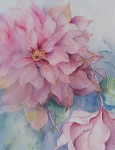 Clematis Vyvyan Penell von Karen Armitage