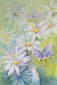 Hauhechel-Bläuling (Polyommatus Icarus) auf Gänseblümchen von Karen Armitage