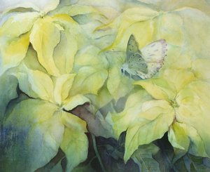 Cremefarbene Weihnachtssterne mit Schmetterling von Karen Armitage
