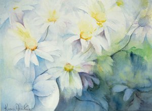 Gänseblümchen, Shasta von Karen Armitage