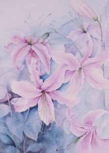 Lilien, rosa Auratum von Karen Armitage