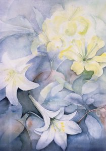 Lilium, Hearts Desire und Imperiale von Karen Armitage