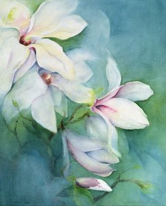 Magnolia Dedudata von Karen Armitage