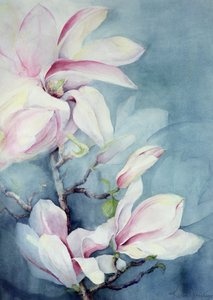 Magnolie Soulangeana (vertikal) von Karen Armitage