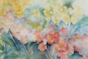Polyanthus, gemischte Hybriden von Karen Armitage