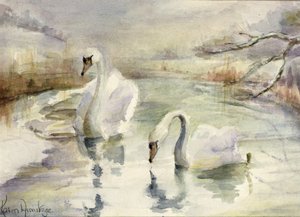 Schwäne im Winter
