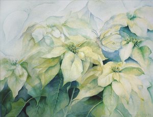 Weiße Weihnachtsstern (horizontal) von Karen Armitage