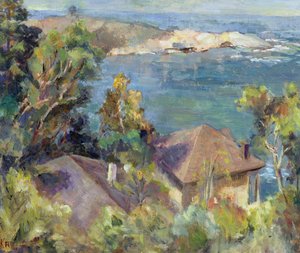 Zapellar, Chile, 1996 von Karen Armitage