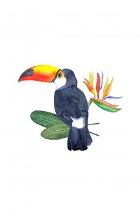 Tropischer Tukan und Blüte