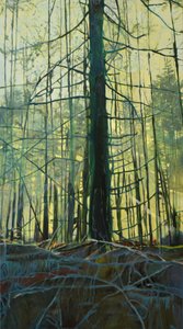 Ätherisches Waldlicht