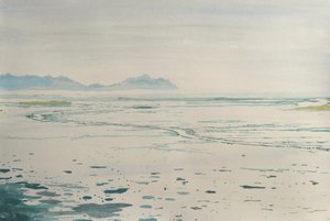 Neblige Küstenlandschaft