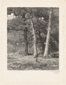 Waldlichtung von Karl Bodmer