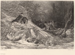 Im Schutz vor dem Frost