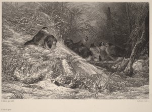 Im Schutz vor dem Frost von Karl Bodmer
