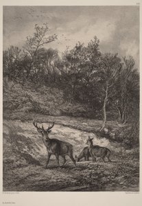 Am Wasser von Karl Bodmer