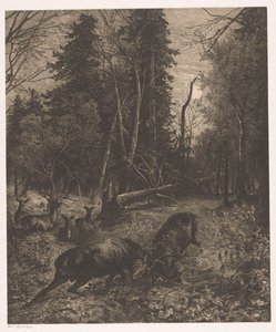 Waldlandschaft mit zwei kämpfenden Hirschen