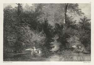 Enten