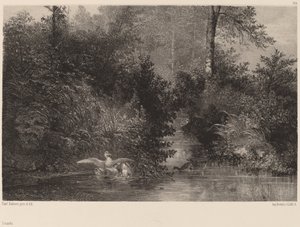 Enten