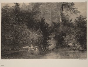  von Karl Bodmer