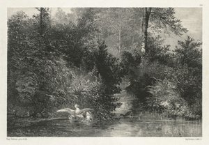 Enten