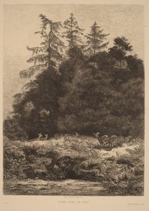  von Karl Bodmer
