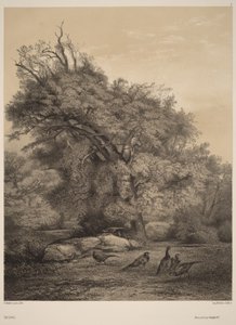  von Karl Bodmer