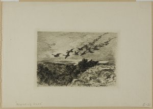 Fliegende Gänse von Karl Bodmer