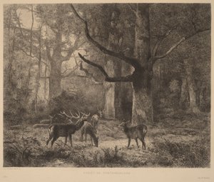  von Karl Bodmer