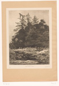 Hirsche am Waldrand von Karl Bodmer