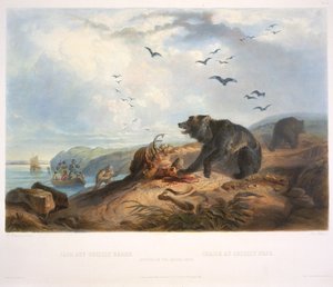 Jagd auf den Grizzlybären