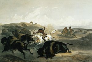 Indianer jagen den Bison, Tafel 31 aus Band 2 von 