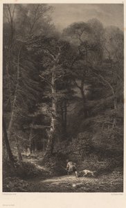 Waldinneres von Karl Bodmer