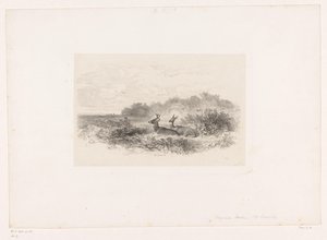 Landschaft mit zwei Weißwedelhirschen von Karl Bodmer