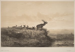  von Karl Bodmer