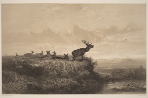  von Karl Bodmer