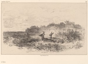Die Ruhe von Karl Bodmer