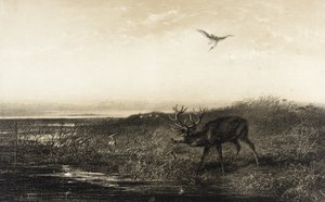 Der Abend: Hirsch und Reiher von Karl Bodmer