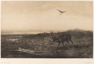 Der Abend. Hirsch und Reiher