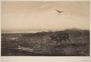Der Abend. Hirsch und Reiher