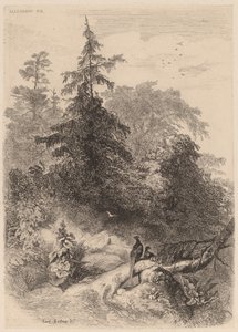 Die Fasane von Karl Bodmer