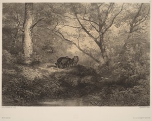 Wildschweine von Karl Bodmer
