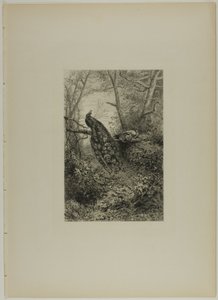 Pfauen auf einem Ast von Karl Bodmer