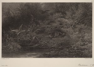  von Karl Bodmer