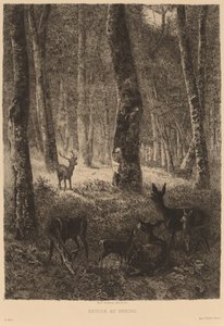 Rückkehr zum Heimathafen von Karl Bodmer