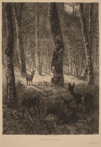  von Karl Bodmer