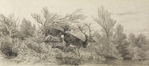  von Karl Bodmer