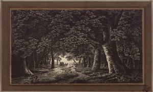 Waldweg mit einer Kutsche