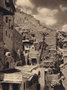 Mar Saba, Palme des Heiligen Sabas (s/w Foto) von Karl Grober