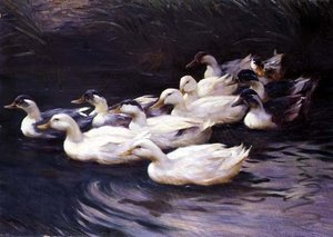 Enten